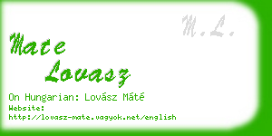 mate lovasz business card