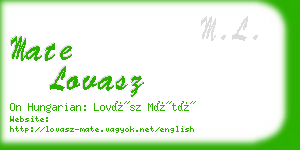 mate lovasz business card